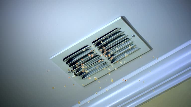 Best Local Air Duct Cleaning Services  in Modesto, CA